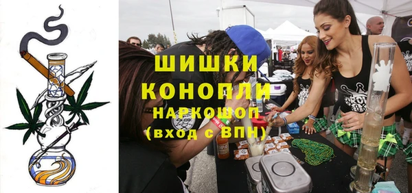 стаф Бородино