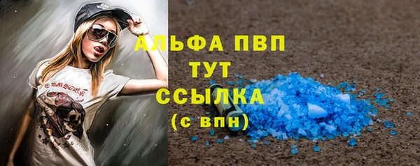 стаф Бородино