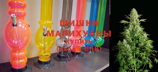 стаф Бородино