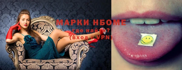 стаф Бородино