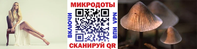 магазин Гурьевск Псилоцибиновые грибы MAGIC MUSHROOMS